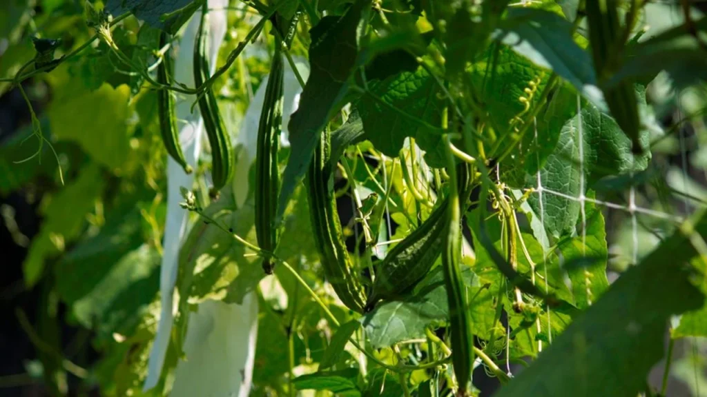 Agricultural Statistics Training Kerala