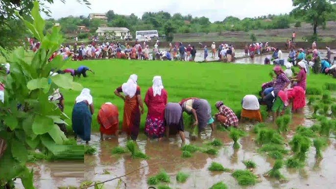 Ente Naadu Karshikotsavam Kothamangalam