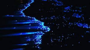 Bioluminescence Kochi 2026