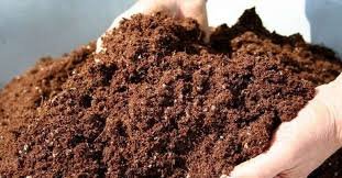 Coconut Husk UV Treatment Technology