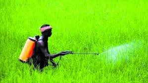 FACT Fertilizer Production Crisis