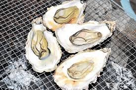 Fort Kochi shellfish death