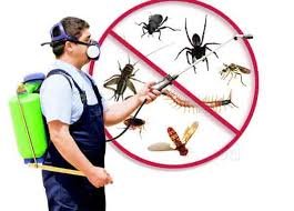 Integrated Mosquito Control