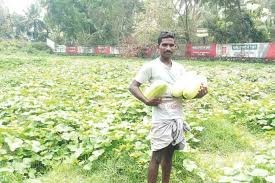 Reels Padasekharam Cultivation Eloor