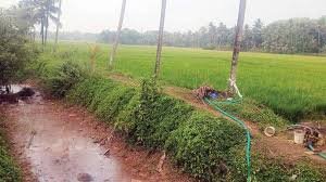 Reels Padasekharam Cultivation Eloor