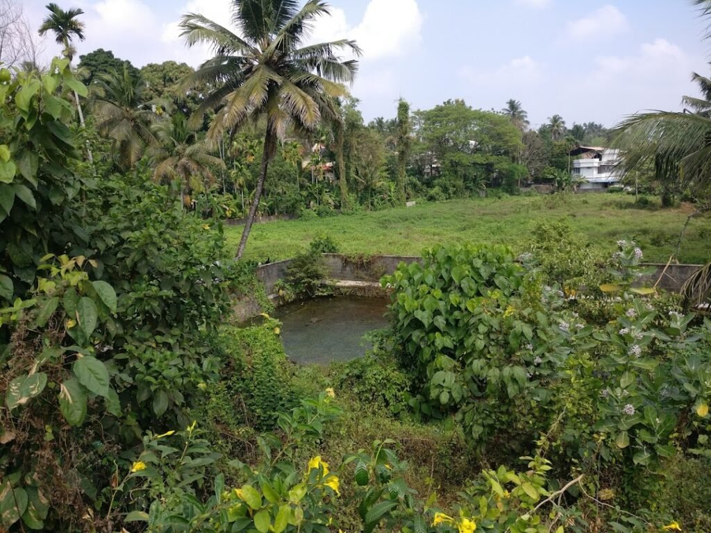 Thrikkakara Temple Aarattukulam Renovation