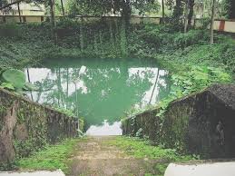Thrikkakara Temple Aarattukulam 