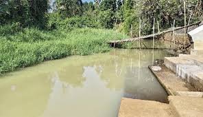 Thrikkakara Waste Dumping Crackdown