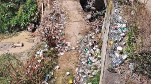 Thrikkakara Waste Dumping Crackdown