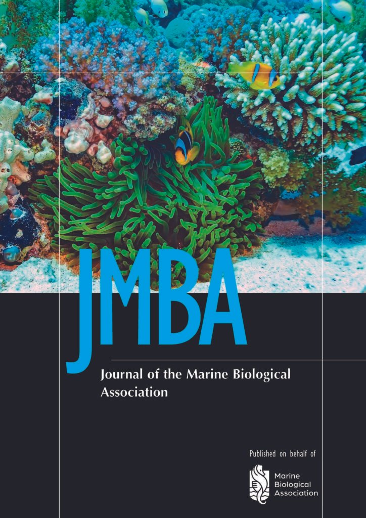 Alpheus Madhusoodanai Discovery