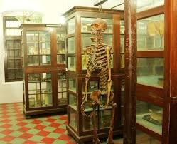 Maharajas College Science Exhibition