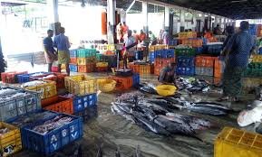 Munambam Fishing Harbor Development