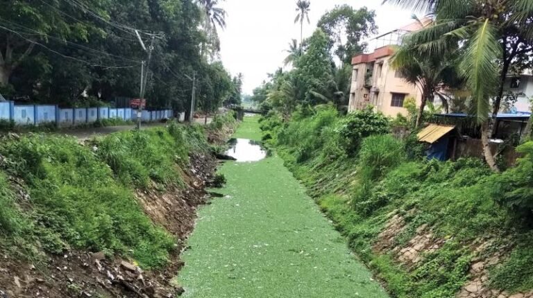 Andhakarathodu Neglect Tripunithura