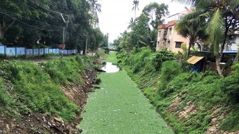 Andhakarathodu Neglect Tripunithura