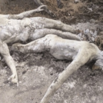 Kotakkavu Church Museum Vandalism