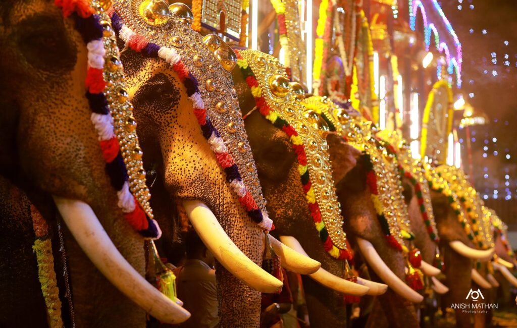 Cherai Pooram Festival