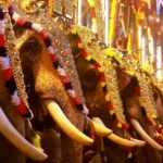 Cherai Pooram Festival