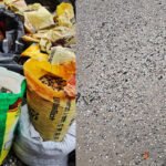 Fort Kochi shellfish death