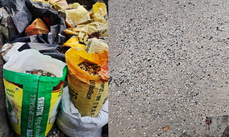 Fort Kochi shellfish death