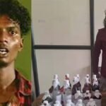 Illegal Liquor Car Sales in Kochi