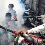 Integrated Mosquito Control