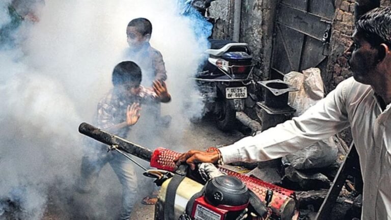 Integrated Mosquito Control