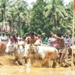 Kakkoor Kalavayal Agricultural Fair 2026