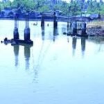 Nedungad Old Palli Bridge Concrete Pillars