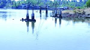 Nedungad Old Palli Bridge Concrete Pillars