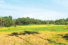 Reels Padasekharam Cultivation Eloor