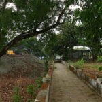 Vyttila Mobility Hub Nature Park