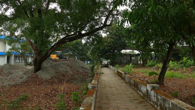 Vyttila Mobility Hub Nature Park