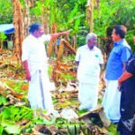 Kothamangalam Wild Elephant Attack