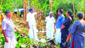 Kothamangalam Wild Elephant Attack